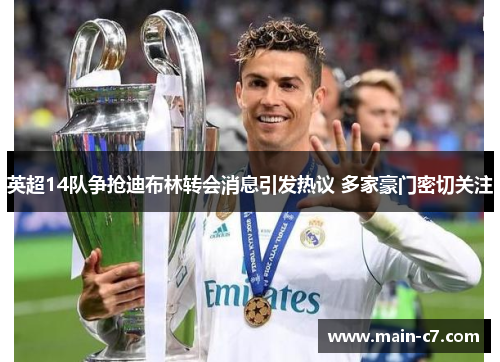 英超14队争抢迪布林转会消息引发热议 多家豪门密切关注