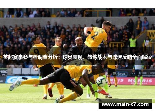 英超赛事参与者调查分析：球员表现、教练战术与球迷反响全面解读