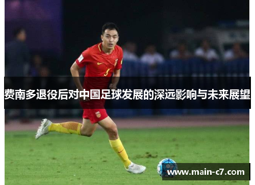 费南多退役后对中国足球发展的深远影响与未来展望 费南多退役后对中国足球发展的深远影响与未来展望