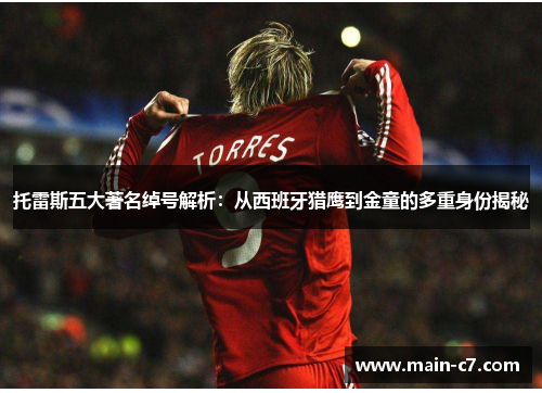 托雷斯五大著名绰号解析：从西班牙猎鹰到金童的多重身份揭秘