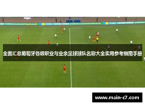 全面汇总葡萄牙各级职业与业余足球球队名称大全实用参考指南手册 全面汇总葡萄牙各级职业与业余足球球队名称大全实用参考指南手册