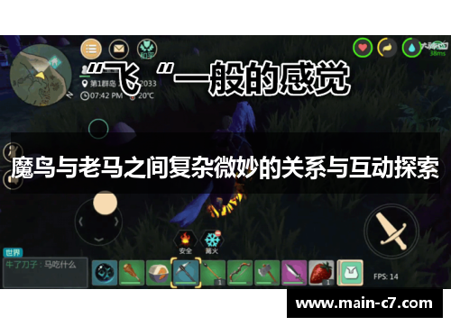 魔鸟与老马之间复杂微妙的关系与互动探索