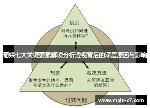 葡媒七大关键要素解读分析透视背后的深层原因与影响