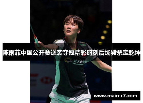 陈雨菲中国公开赛逆袭夺冠精彩时刻后场劈杀定乾坤
