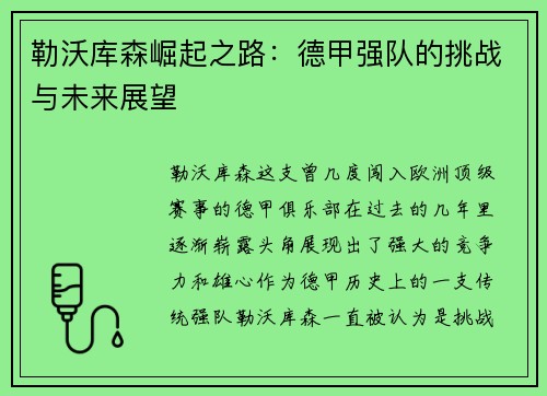 勒沃库森崛起之路：德甲强队的挑战与未来展望