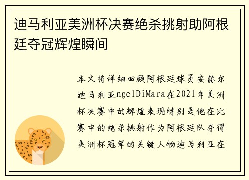 迪马利亚美洲杯决赛绝杀挑射助阿根廷夺冠辉煌瞬间